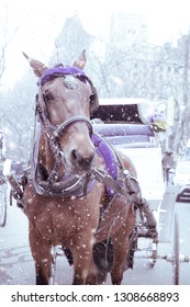 New York City Horse Drawn Carriage From Central Park On A Cold Winter Day With Snow Falling