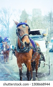 New York City Horse Drawn Carriage From Central Park On A Cold Winter Day With Snow Falling