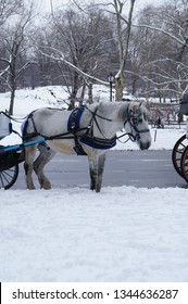 New York City Horse Drawn Carriage From Central Park On A Cold Winter Day With Snow Falling - Imagem