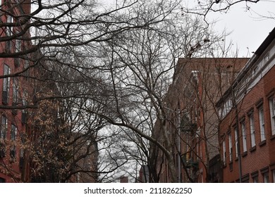 New York City Street Photography 