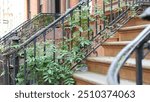 New York City townhouse building, Brooklyn Heights residential district, USA. Brownstone urban architecture, attached house. United States real estate, american property, apartments and homes in NYC.