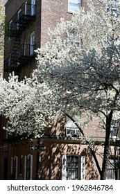 New York City, USA - April 13, 2021: West Village Street View, New York City, USA