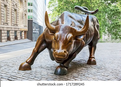 New York City, USA - June 12, 2015: closeup view of the Wall Street Bull In the historic financial district of NYC Manhattan