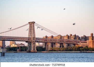 New York City, USA - September 9 2017: The East River and the Williamsburg Bridge in the early morning sunlight with birds flying in the foreground.