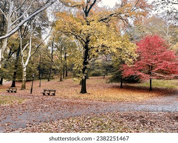 New York City's Riverside Park displaying beautiful fall color