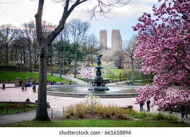 NEW YORK, NEW YORK - MAR 18: Spring at Bethesda Pool in Central Park in New York City on March 18, 2011. Bethesda Pool gets its name from the pool in the Bible where a cripple was healed.
