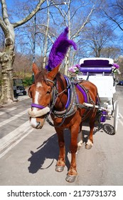 NEW YORK, NY -22 MAR 2022- View Of A Horse Drawn Carriage, A Popular Tourist Attraction Around Central Park In Manhattan, New York.