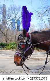 NEW YORK, NY -22 MAR 2022- View Of A Horse Drawn Carriage, A Popular Tourist Attraction Around Central Park In Manhattan, New York.