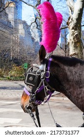 NEW YORK, NY -22 MAR 2022- View Of A Horse Drawn Carriage, A Popular Tourist Attraction Around Central Park In Manhattan, New York.