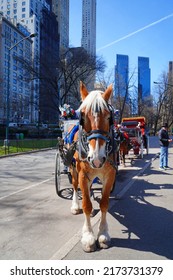 NEW YORK, NY -22 MAR 2022- View Of A Horse Drawn Carriage, A Popular Tourist Attraction Around Central Park In Manhattan, New York.