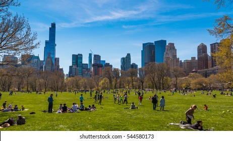 NEW YORK, NY - APRIL 16, 2016: Sheep Meadow, Central Park on April 16, 2016 in Manhattan, New York City.