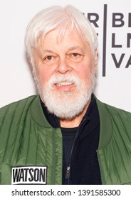 New York, NY - April 25, 2019: Paul Watson Attends The Watson Screening At The 2019 Tribeca Film Festival At SVA Theatre