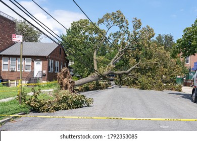 NEW YORK, NY - AUGUST 08: A tree which brought down power lines lies in the street in the Astoria neighborhood on August 8, 2020 in the Queens borough in New York City.