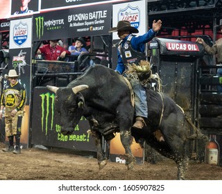 New York, NY - January 4, 2020: Eduardo Aparecido rides bull during second round of Professional Bull Riders season 2020 on arena at Madison Square Garden