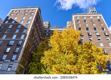 New York, NY - November 23, 2021: Looking up at the riverfront facade of 1 Sutton Place South (1927), including a huge tree with yellow fall colors. A 14 story luxury apartment tower.