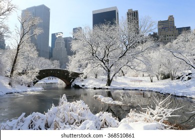 NEW YORK, NY, USA-FEB 4: Central park with snow, February 3, 2014
