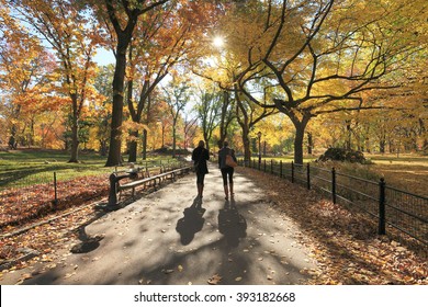 NEW YORK, NY, USA-NOV 8: Path in Central Park, New York City, in Autumn, November 8, 2013