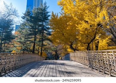 New York. NYC. Central Park. Fall season. Autumn season in park. Seasonal leaves and trees. Natural autumn or fall season. Autumn beauty of nature. Nature in central park. Fall leaves in park. Autumn - Powered by Shutterstock