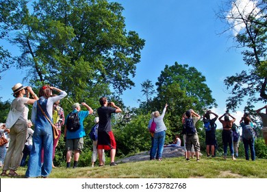 New York, NY/USA - June 12, 2016: People Are Enjoying Bird Watching Tour In Central Park