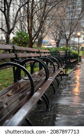 New York Park Bench City Lights Rain