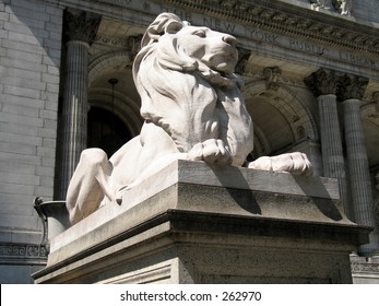 New York Public Library Lion