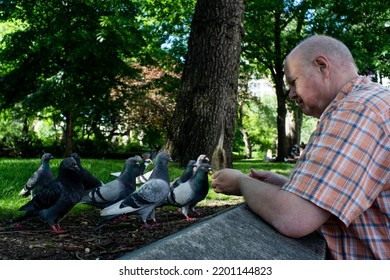 New York, New York USA 5.25.2022: Man Feeds Wild Pigeons In Union Square In NYC.