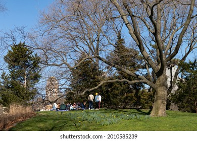 New York, New York USA - April 3 2021: People Having A Picnic Under A Tree During Spring At Central Park In New York City