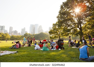 New York, New York, USA - July 10, 2011: People Enjoying A Beautiful Summer Day In Sheep Meadow, Central Park. The Sun Shines Through The Trees In The Late Afternoon.