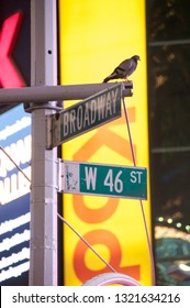 New York, New York / USA - July 13, 2010: A Street Sign Depicting The Corner Of Broadway And West 46th Street In New York City's Famous Times Square At Night With Brightly Lit Commercial Billboards.