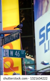 New York, New York / USA - July 13, 2010: A Street Sign Depicting The Corner Of Broadway And West 46th Street In New York City's Famous Times Square At Night With Brightly Lit Commercial Billboards.