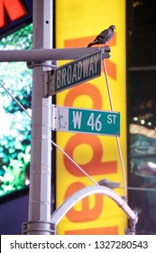 New York, New York / USA - July 13, 2010: A Street Sign Depicting The Corner Of Broadway And West 46th Street In New York City's Famous Times Square At Night With Brightly Lit Commercial Billboards.