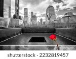 New York, USA, March 25 2022: New York City Ground Zero black and white view with red rose, United states of America