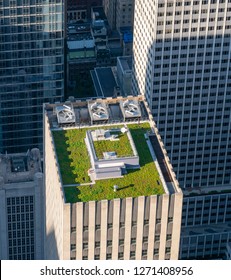 New York, USA - May 22, 2018: Green Roof Of A Skyscraper In New York City. It Is A Roof Covered With Vegetation Designed To Offer Environmental Benefits.