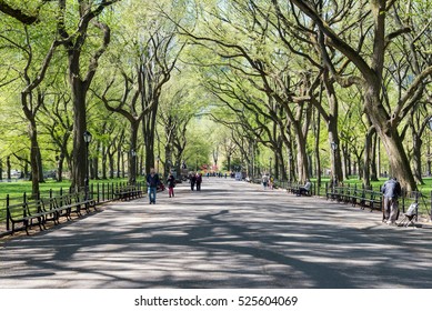 NEW YORK, USA - MAY 5, 2014: People Walk In Central Park In Spring Time, New York, USA