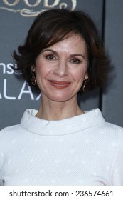 NEW YORK-DEC 8: TV Host Elizabeth Vargas Attends The 