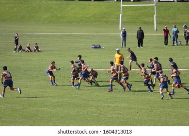New Zealand, Auckland - May 2017: New generation playing rugby