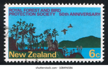 NEW ZEALAND - CIRCA 1973: Stamp Printed By New Zealand, Shows Forest, Birds And Lake, 50th Anniversary Of Royal Forest And Bird Protection Society, Circa 1973