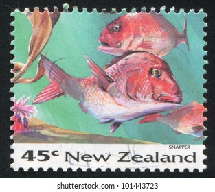 NEW ZEALAND - CIRCA 1993: stamp printed by New Zealand, shows Fish, Snapper, circa 1993