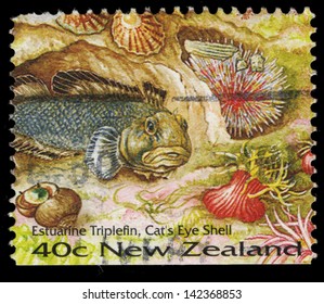 NEW ZEALAND - CIRCA 1996: stamp printed in New Zealand shows Estuarine Triplefin, Cats Eye Shell, circa 1996