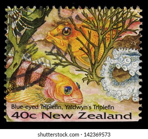 NEW ZEALAND - CIRCA 1996: A stamp printed in New Zealand shows Blue-eyed Triplefin, Yaldwyn's Triplefin, circa 1996