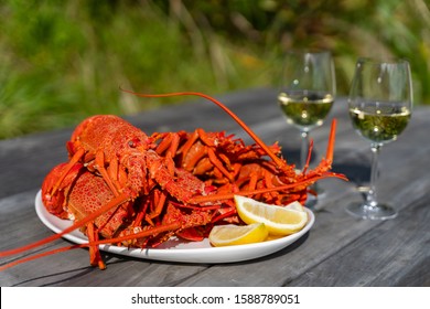 New Zealand Crayfish/rock Lobster On White Plate With Lemon Wedges. With Blurred Background With Wine Glasses Behind. New Zealand Crayfish Are A Luxury Food Which Is Often Exported To Asia.