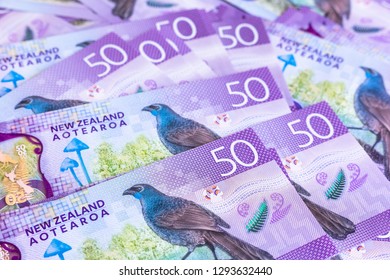 New Zealand currency $50, New Zealand Dollar banknotes show kokako blue wattled crow.