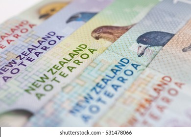 New Zealand currency fanned out ($5, $10, $20, $50, $100)