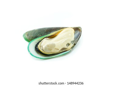 New Zealand green mussel on white background