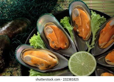 New Zealand green mussels  