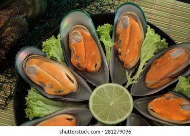   New Zealand green mussels bowl
