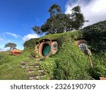 New Zealand Hobbiton Movie Set Tours