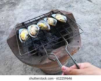 New Zealand mussel group on local stove with right hand