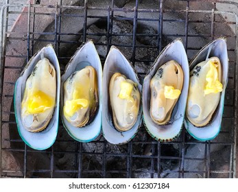 New Zealand mussel group on local stove