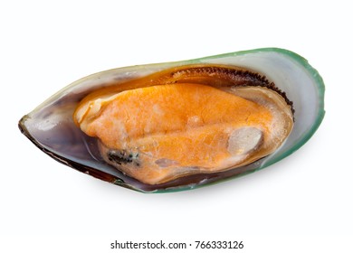 new zealand mussel on a white background with clipping path, Boiled mussel 
